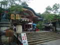 Kyoto : Inari